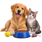 Cão e gato representando produtos e cuidados para pets